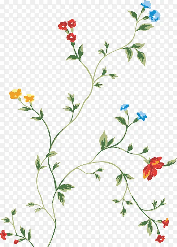 ��֦�ϵĻ���-������