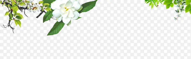 ������Ҷװ��-������