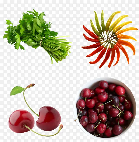 ����ʳ���ز�-������