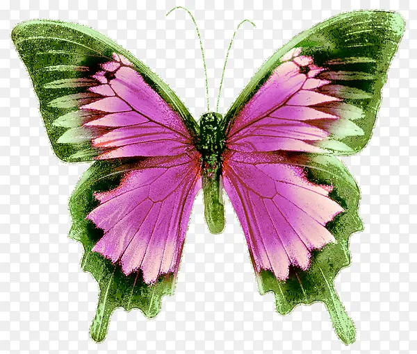 �ֻ�ˮ�ʺ���װ���ز�-������