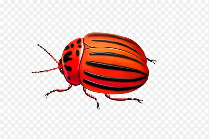 ����ز�����ͼƬ-������