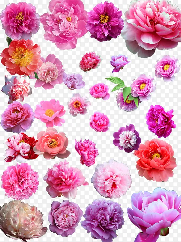 ĵ�����ز�-������