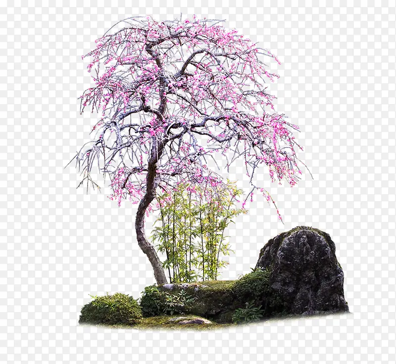 ��Ʒʵ��԰��-������