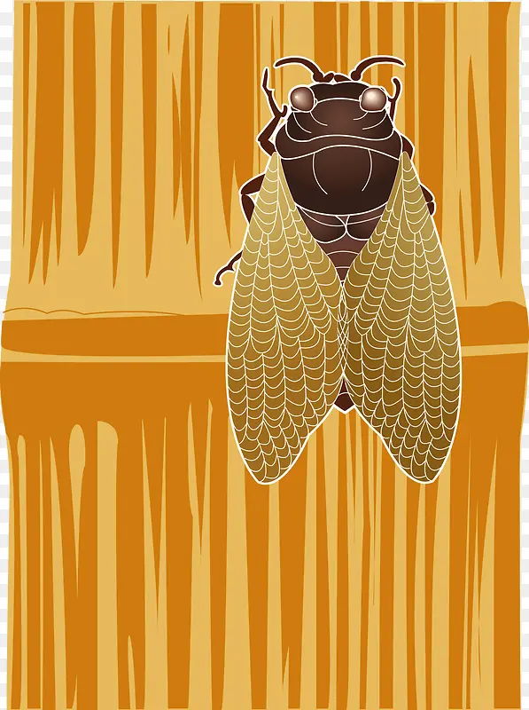 ʸ�������ϵ�֪��-������