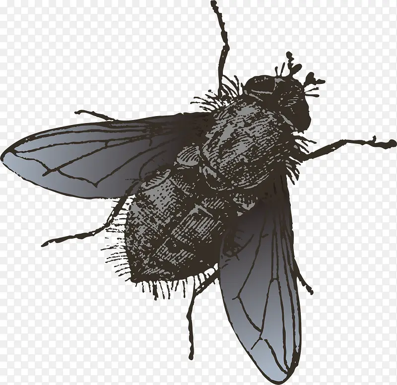 ʸ����ɫ֪������-������