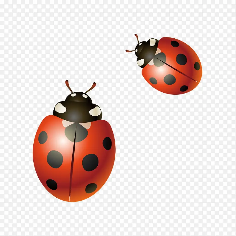 ����ư��ʸ���ز�-������