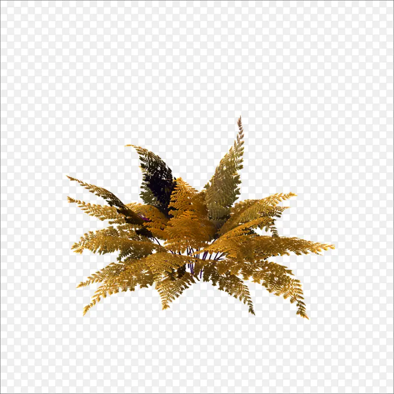 ��Ҷ-������