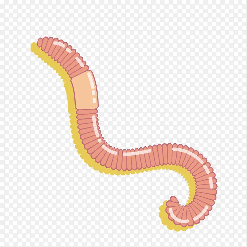 ��ͨ���AIʸ���ز�-������