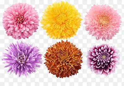 ���ļ���-������