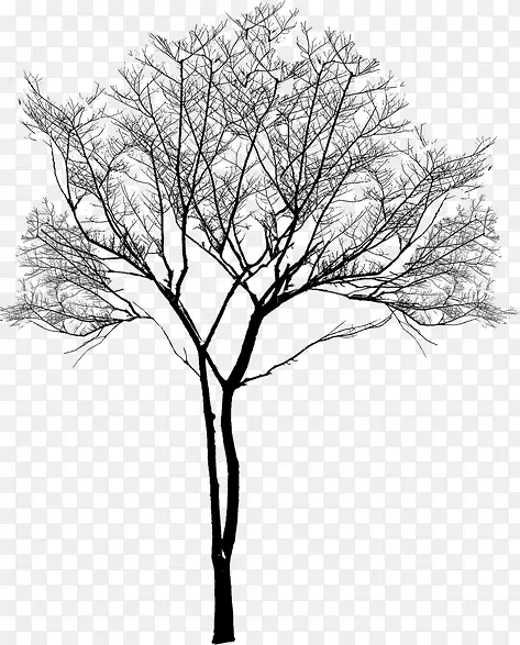 ������Ӱ��������������ľ-������