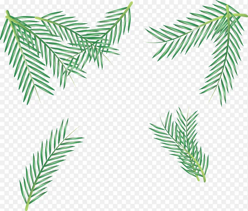 ��ɫ����֦-������