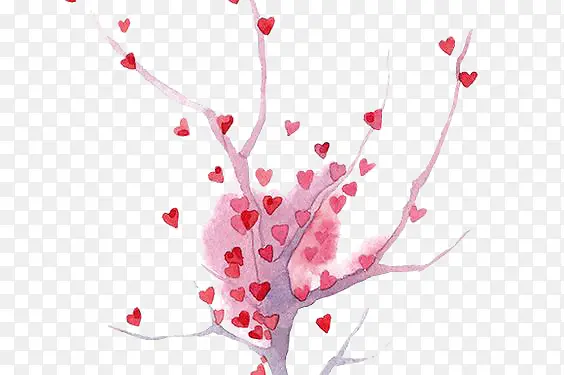 ˮ����֦-������