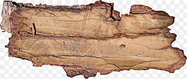 ����ֽ�Ŵ���ͼ��-������