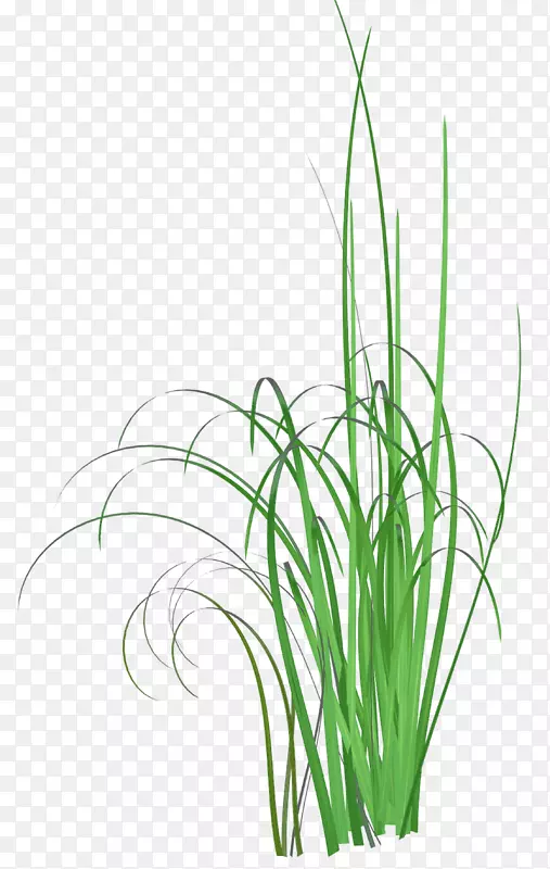 ��ͨ«έֲ�������-��-������