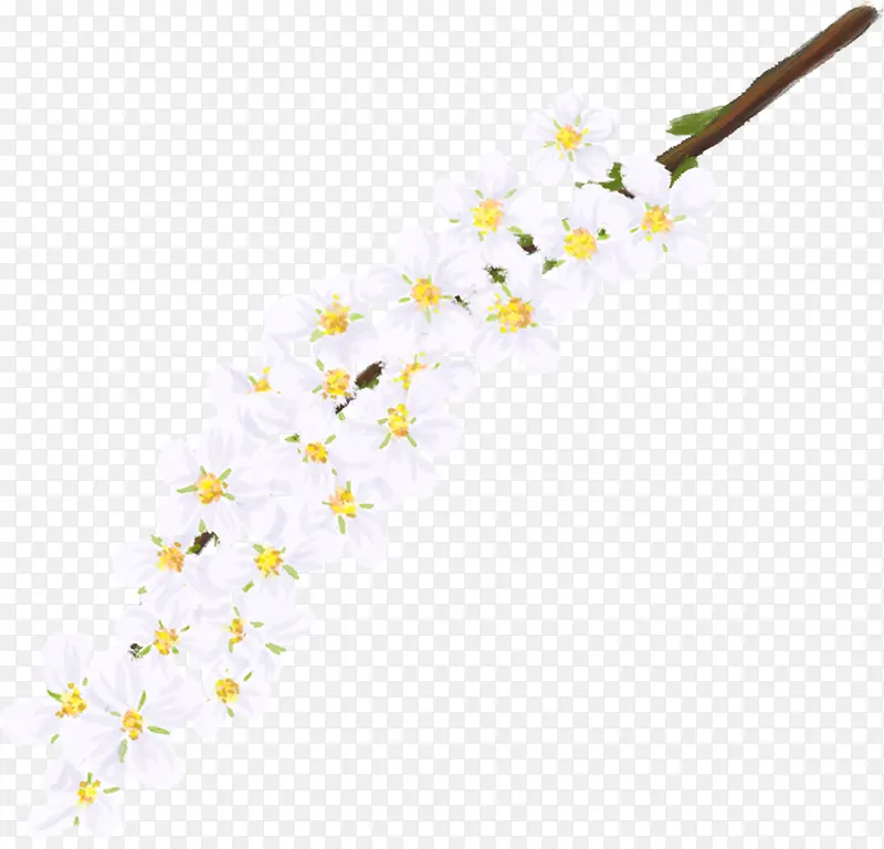 ��ɫ�һ��ֻ��ز�-������