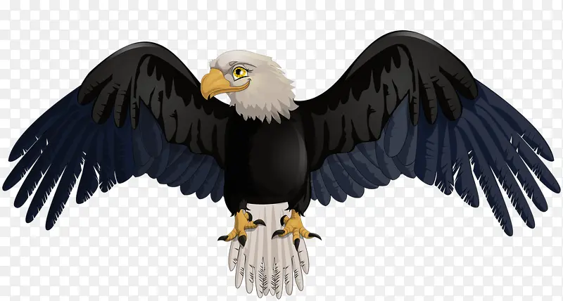 ��ͨ����-������