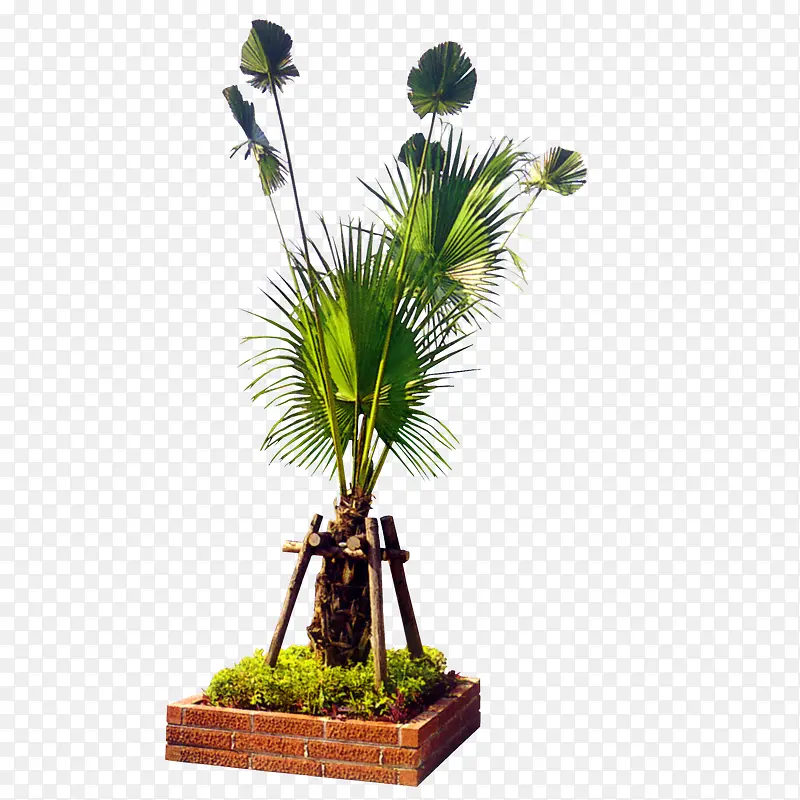 �̻���-������