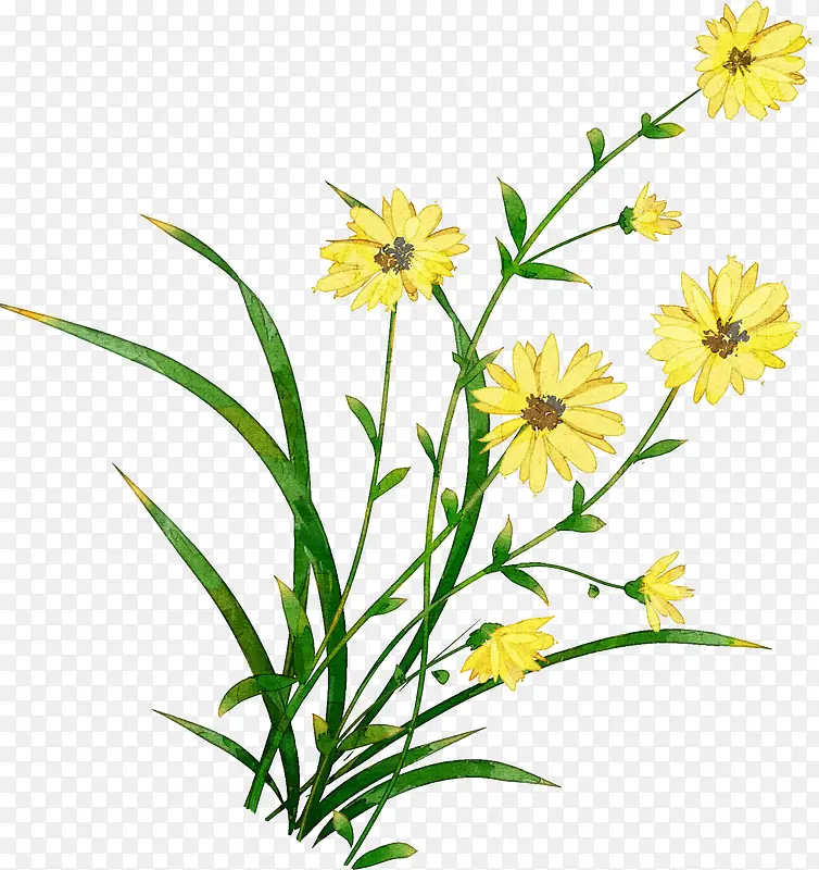 �ֻ�Ұ���ز�-������