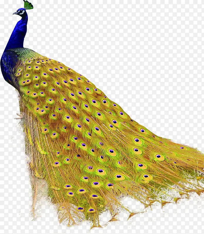 ������Ӱ�߹�Ŀ�ȸ�ϳ�-������