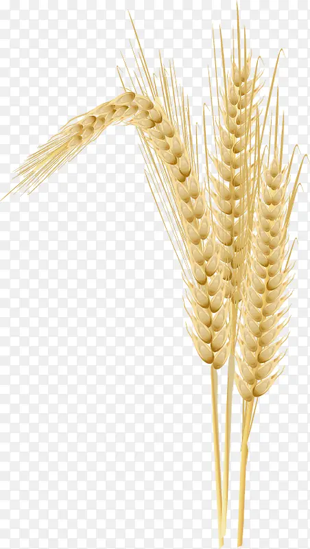 ʸ������װ������ز�-������