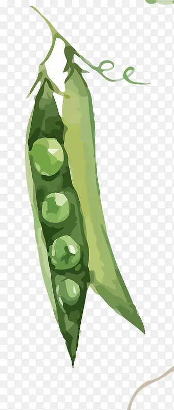 �ֻ��߲�����-������