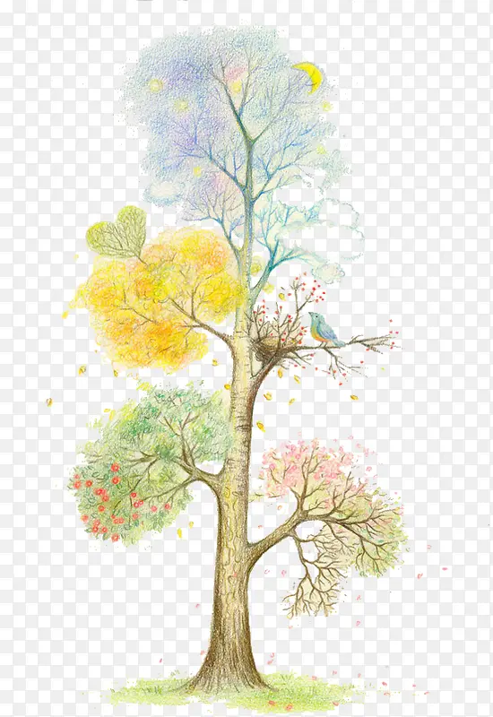 ��ɫ����֦-������