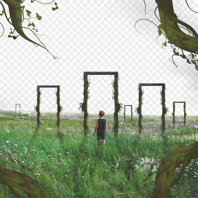 ��ɫ����ֲ���ű���-������