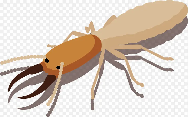 �ֻ�����Ӱ����-������