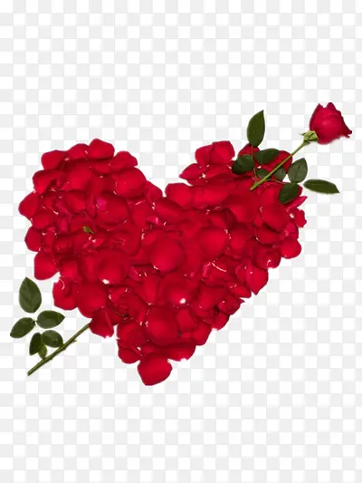 õ�尮��-������