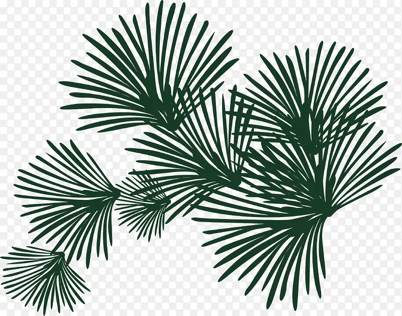 ʸ��ֲ���ز�-������