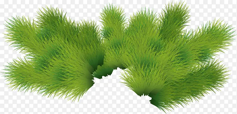 ʥ������֦�ز�-������