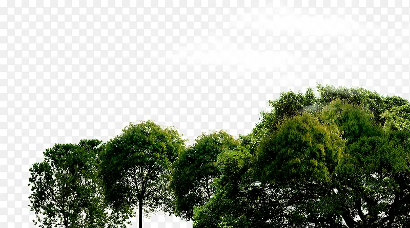 ������ز�-������