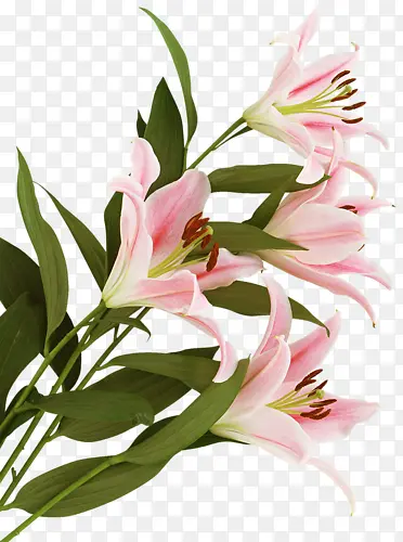 �ֻ滨���زĻ�������-������