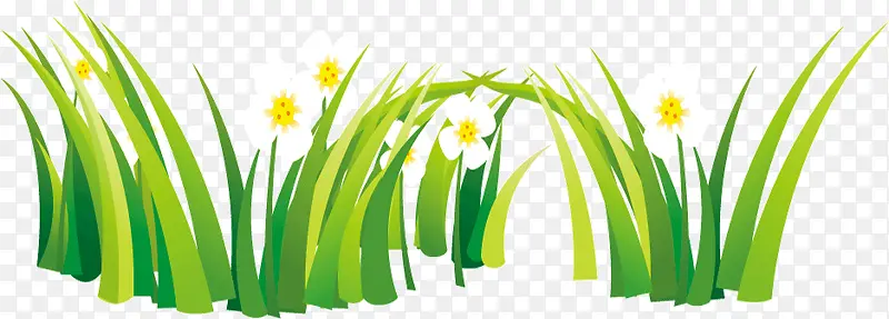 ��ɫ�ֻ�ˮ�ʻ��Ӳݻ���-������