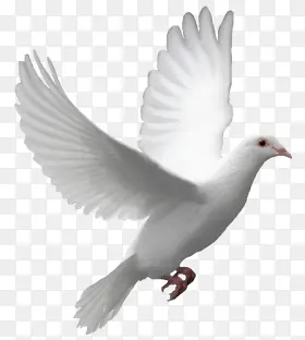 ��ɫ��������ز�ͼƬ�ز�-������