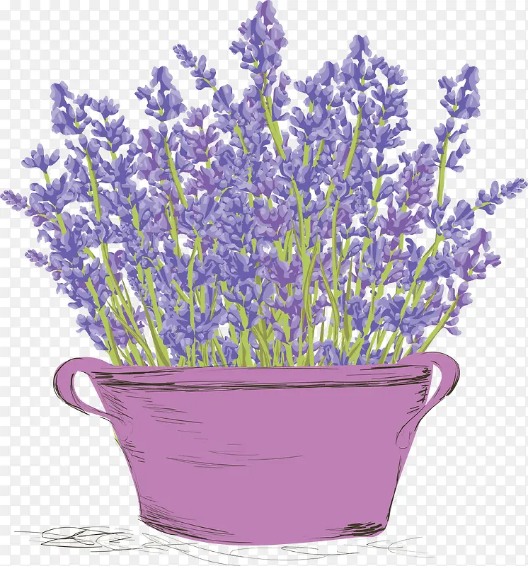 ޹�²�����ͼ-������