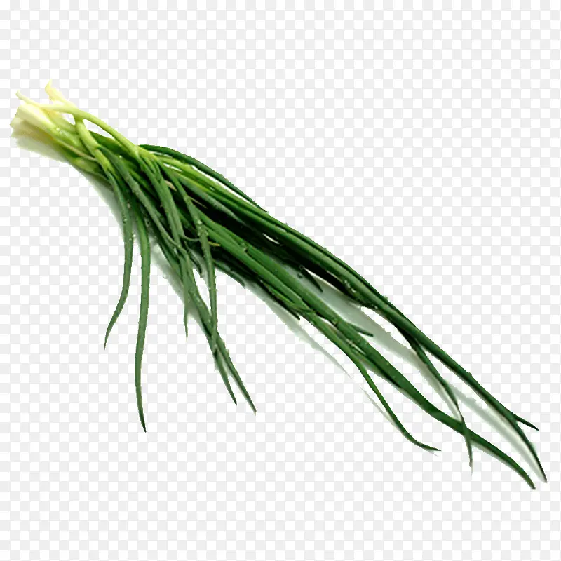 �߲˴�-������