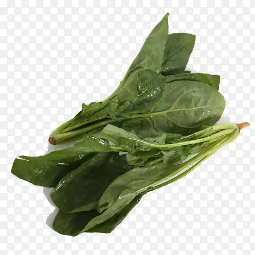 �л���ɫ����-������