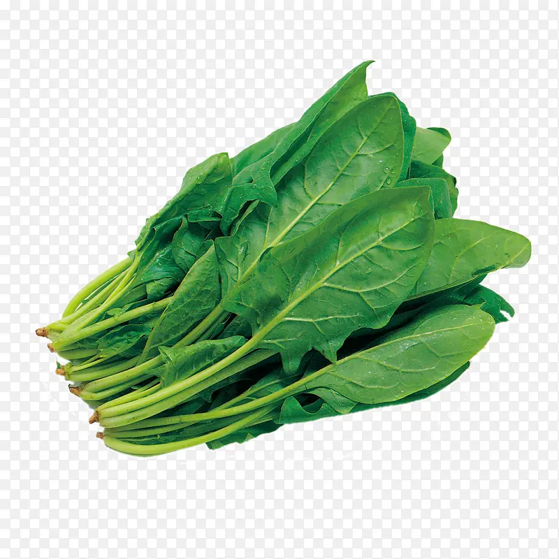 �߲˲���-������