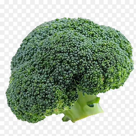 �л��߲�-������