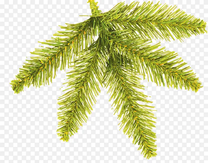 ʥ�����ز�-������