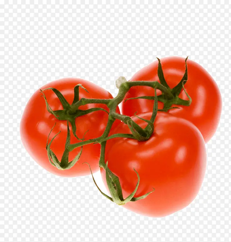 ��ɫ�ķ���-������