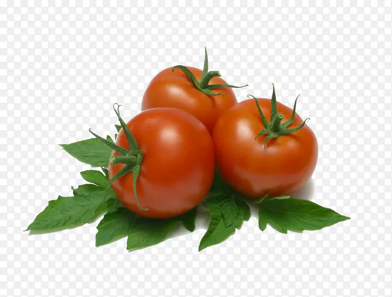 ��ɫ����-������