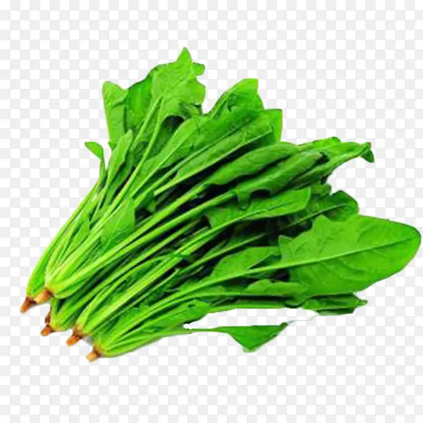 ���ʲ���-������