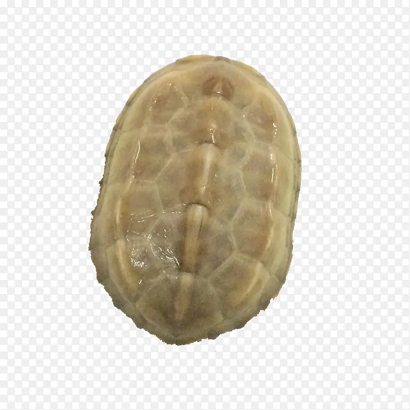 ����ݹ�-������