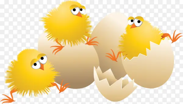 ��ͨ�ֻ漦����С��-������