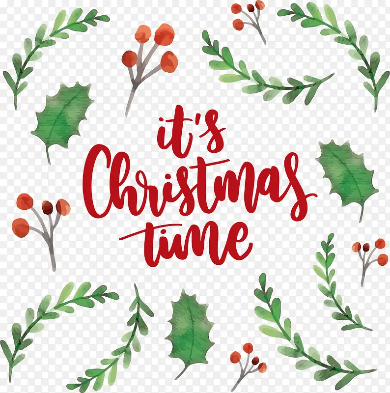 ˮ��ʥ����֦����-������