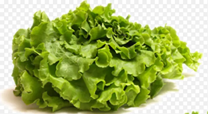 ����-������