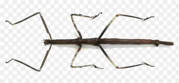 ��������-������