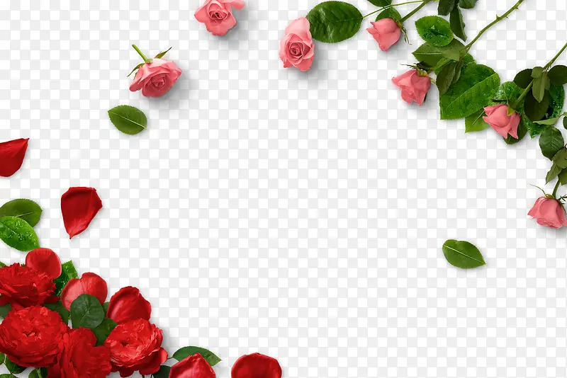 õ�屳���ز�-������